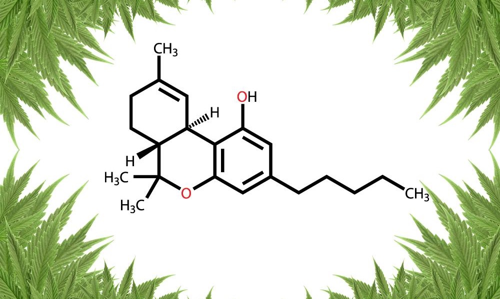 Decizie istorică în România privind marijuana