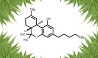 Decizie istorică în România privind marijuana